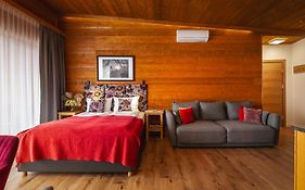 Apartamenty U Harrego Boutique Spa Masaze, Sauna, Teznia Solankowa , Balkon , Taras , Klimatyzacja , Parking